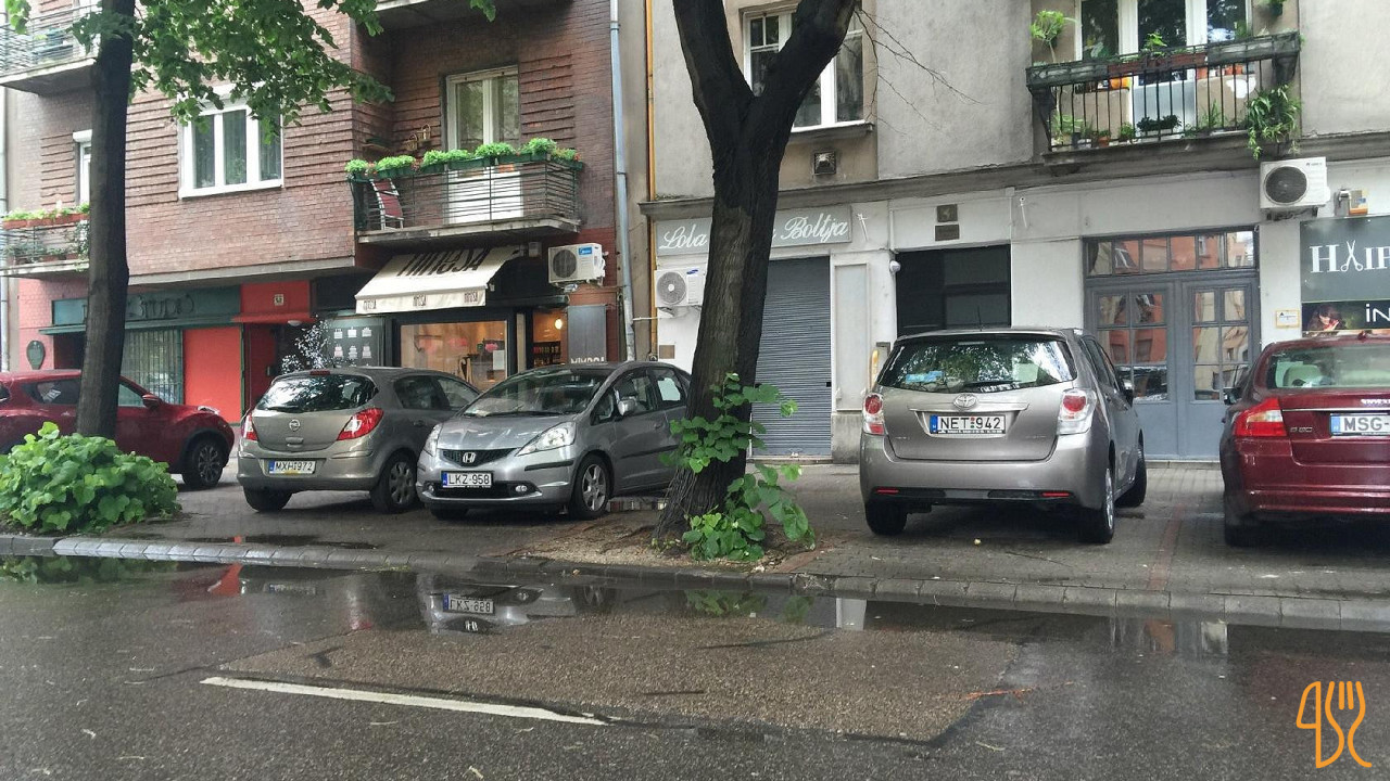 La Mimosa Kint