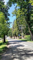 Paradi Buefesor outside
