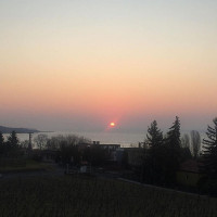 Bacchus Wine Cave Winery Apartment, Badacsony outside
