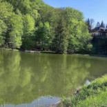 Kőkapu Vadászkastély és Apartments Kint