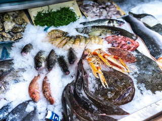Fishmonger Gobuda