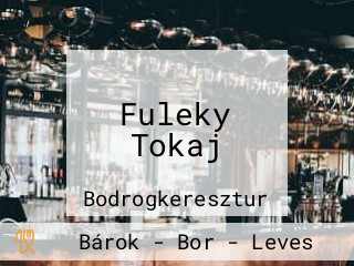 Fuleky Tokaj